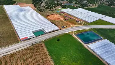 Tarım-Ormancılık-Balıkçılık Sektörü Patladı!