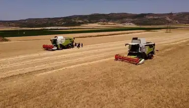 TMO'dan Yemlik Tahıl Satışı: Arpa ve Yulaf Desteği